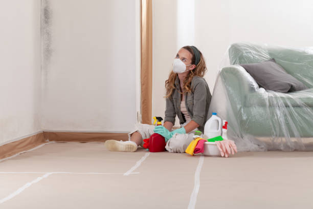 Reliable Mold Remediation contractor in Hanover Park, IL by WQB Mold Removal